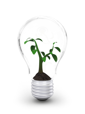 idea_tree.jpg