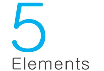 FI-5-elements-os-effective-thinking.jpg