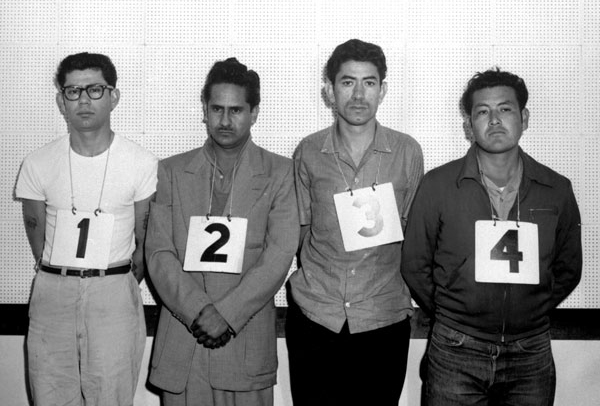 Miranda-line-up-FI.jpg