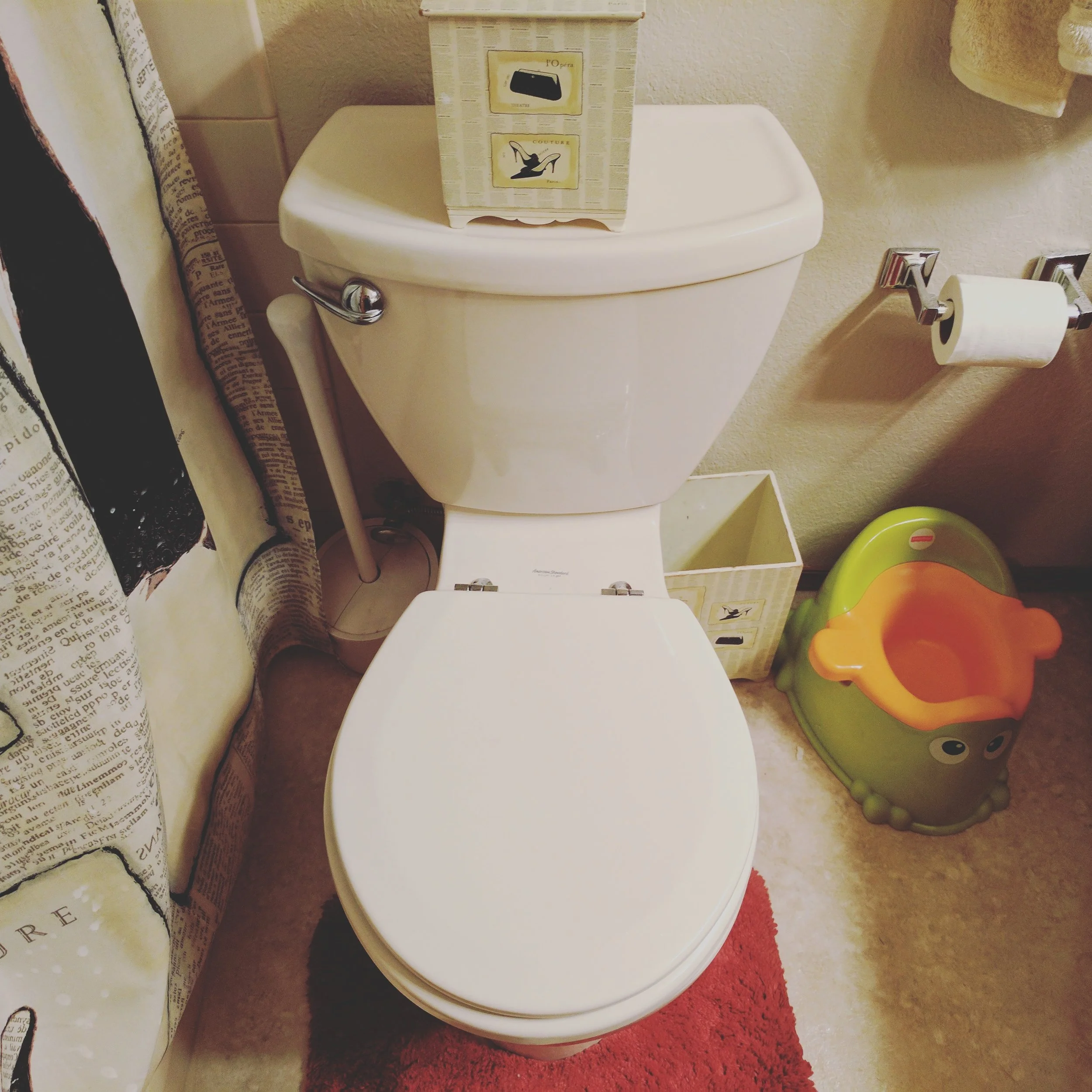 Flushing Expectations — Brent Colby