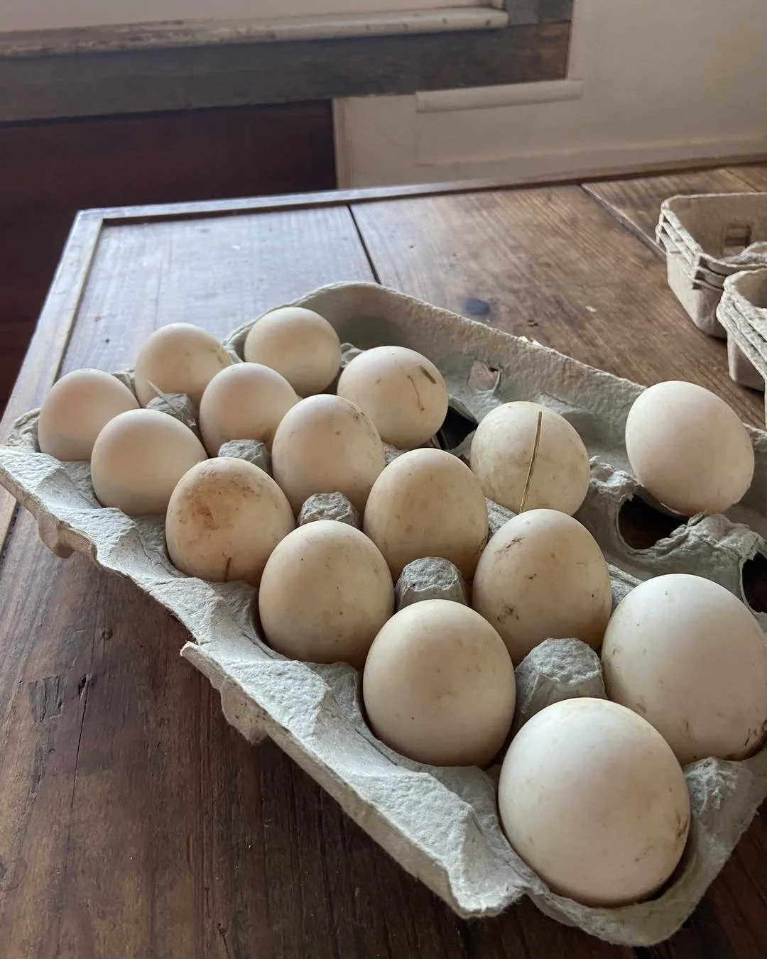 Farm Fresh Duck Eggs