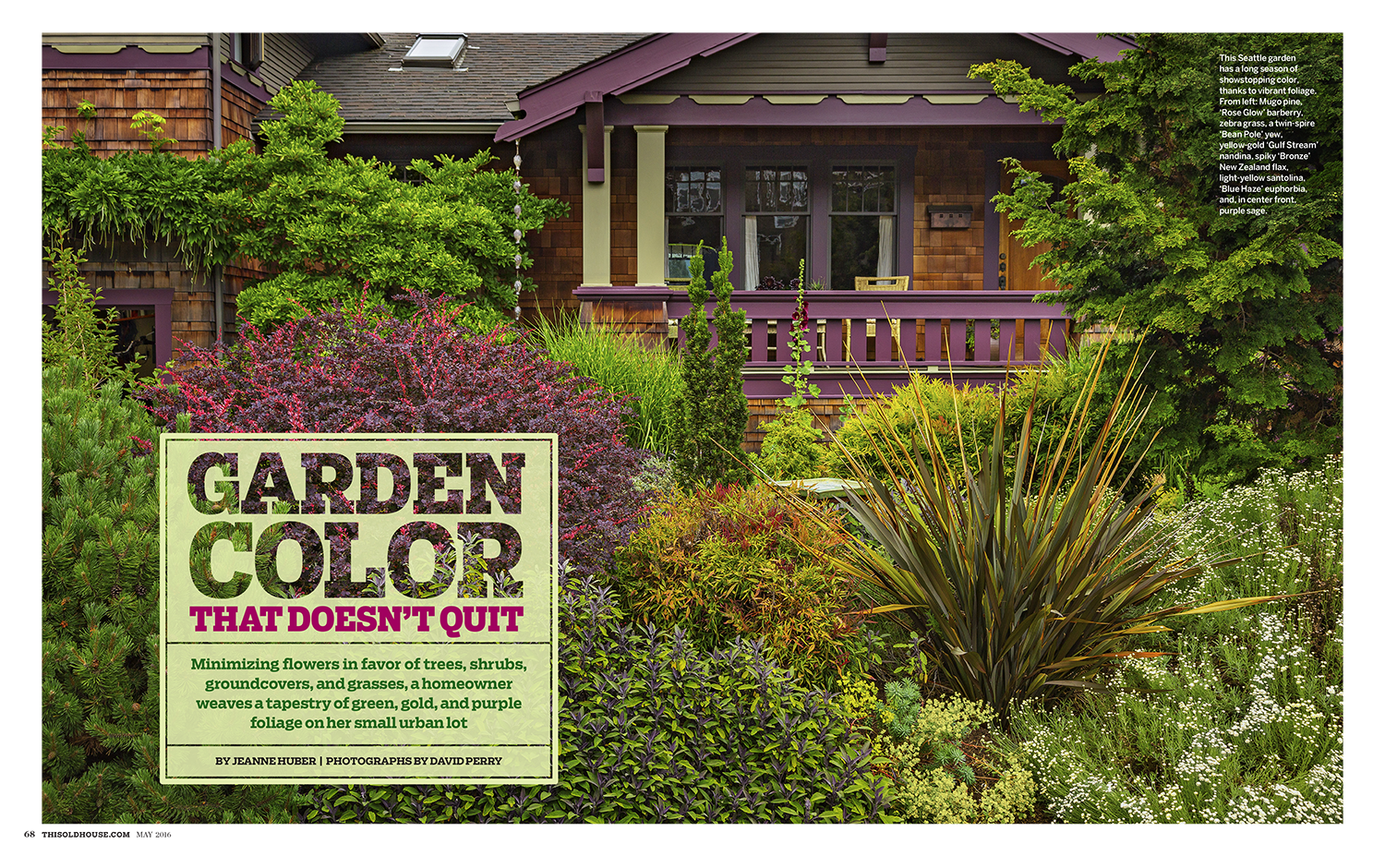 gardencolor-1.png