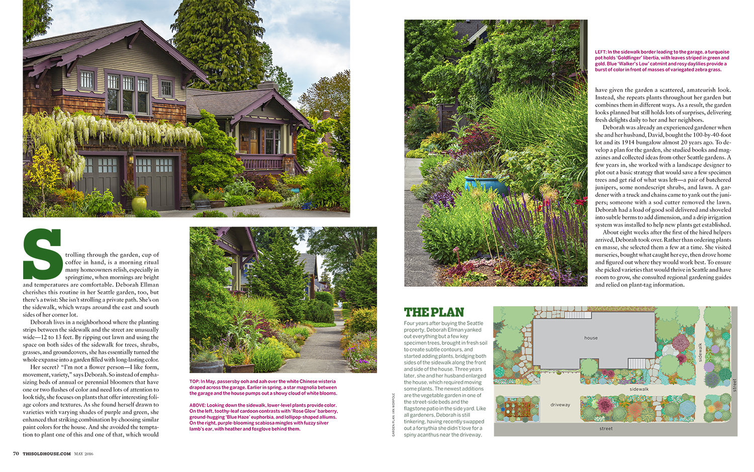 gardencolor-2.png