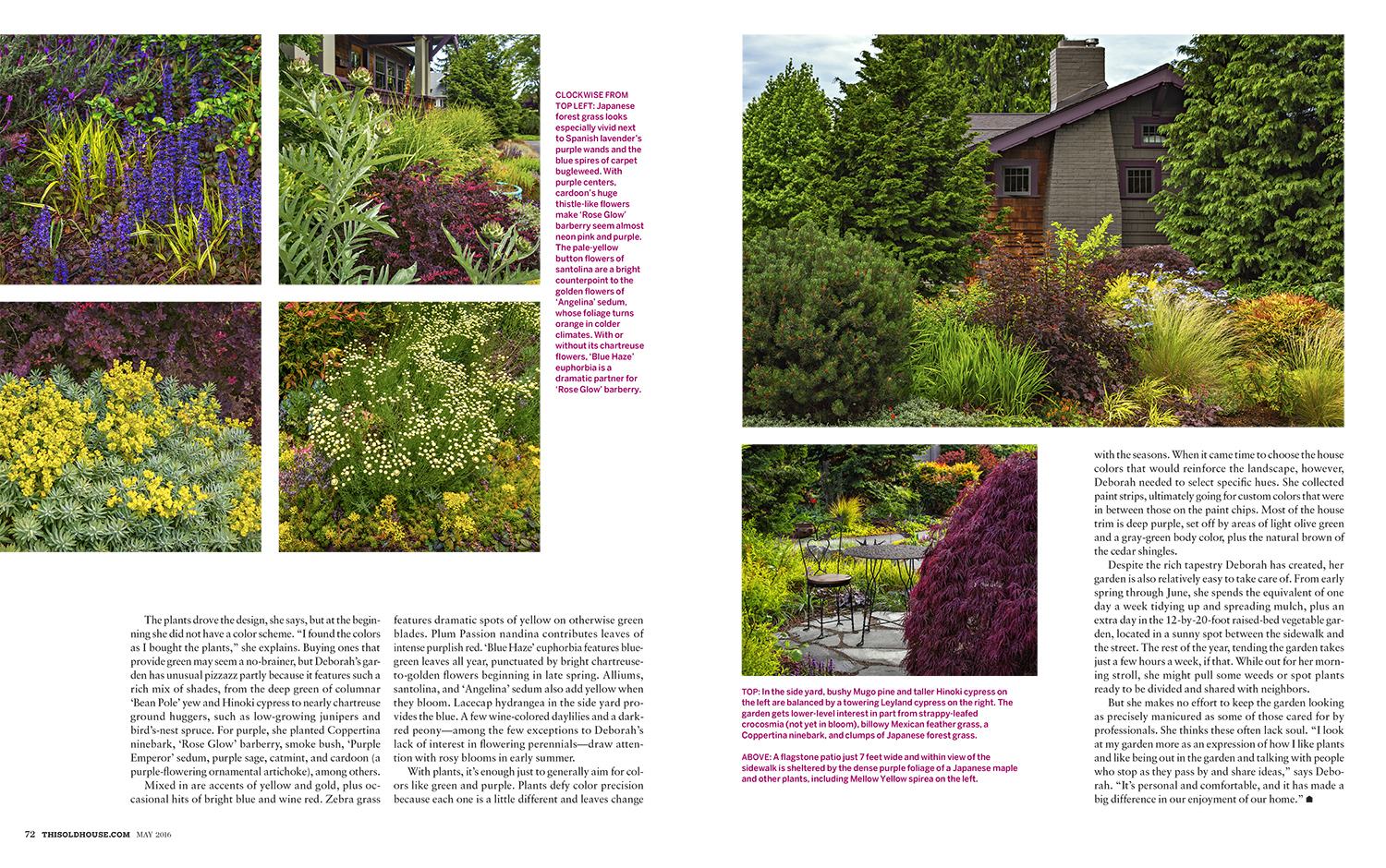 gardencolor-3.png
