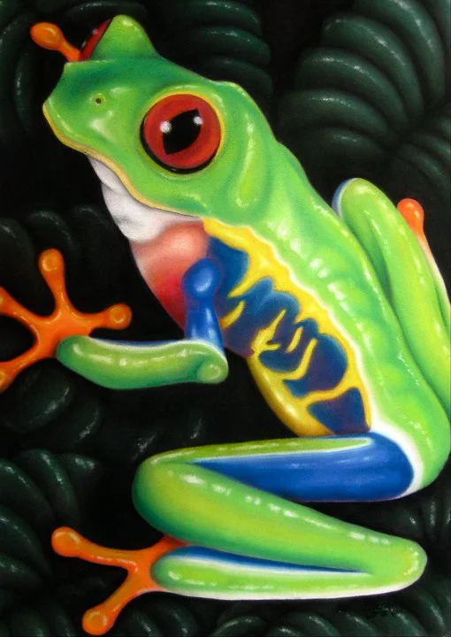 Rainforest Rainbow | Chalk Pastel