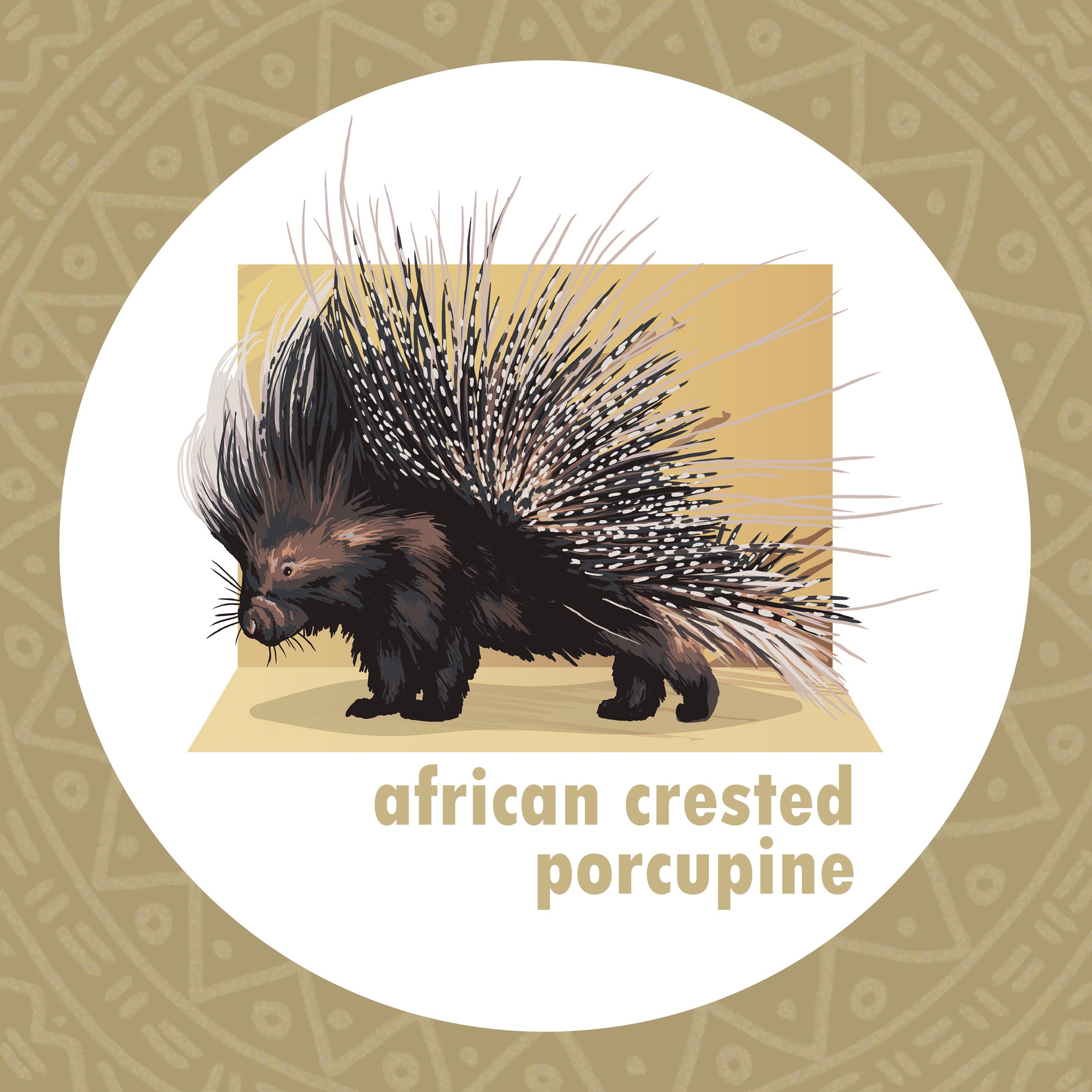Zoo_African Crested Porcupine.jpg