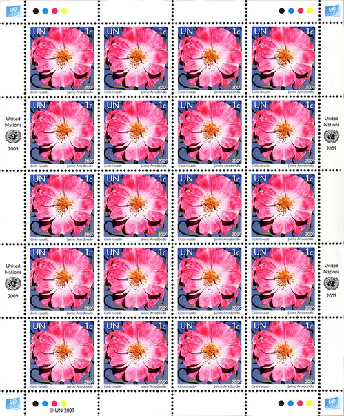 United Nations Stamp Sheet – Cielo Rosado