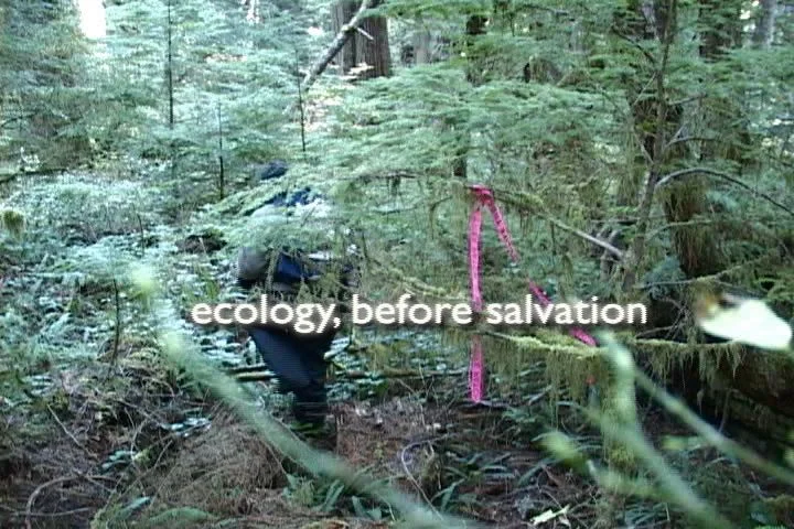 Ecology.jpg