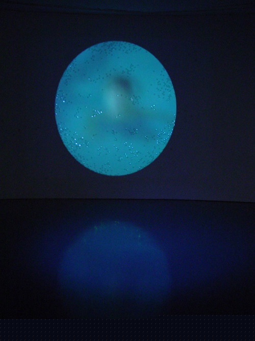 Site projection at the Koffler Art Gallery Materials: video installation and buttons