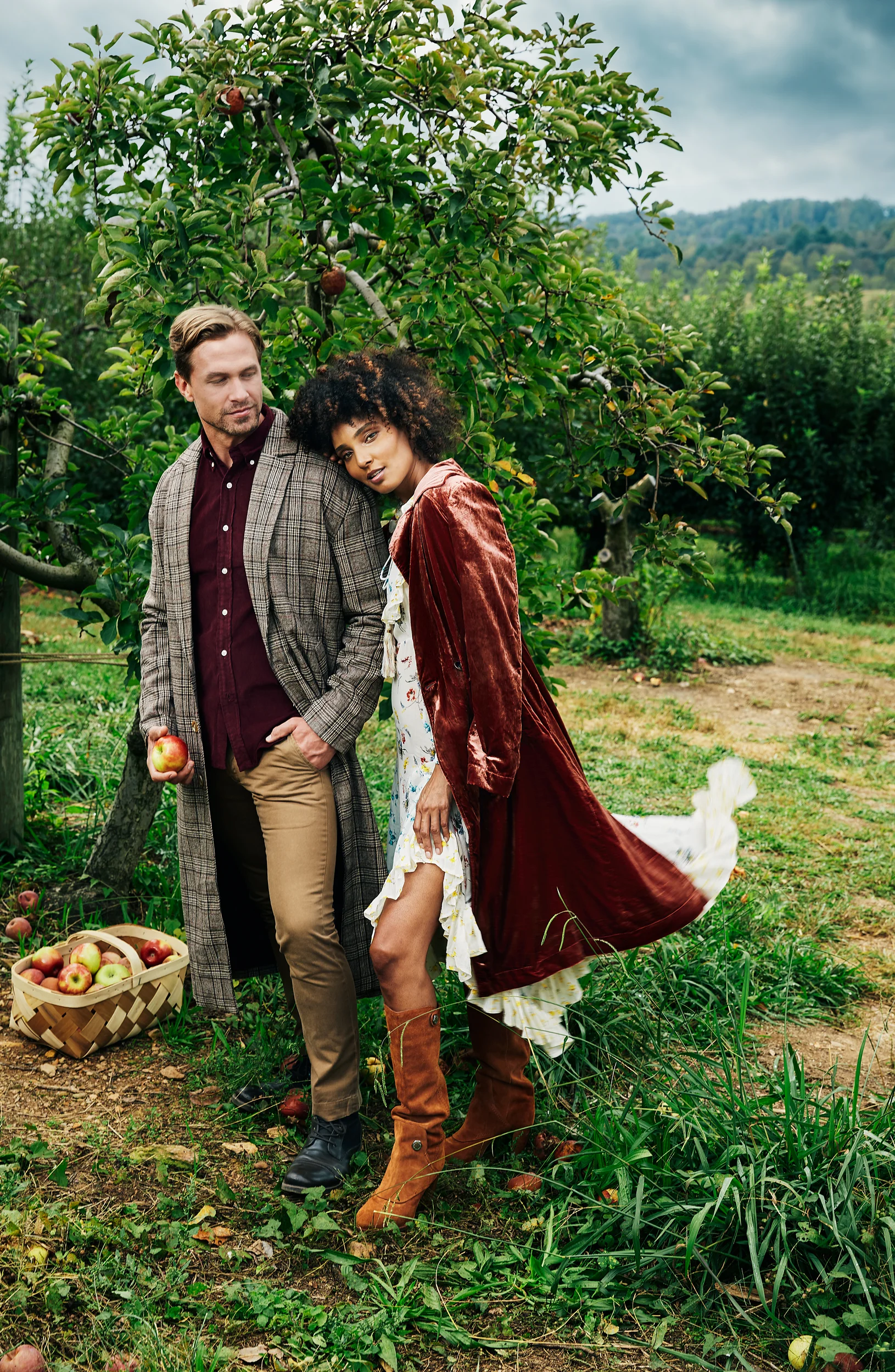 Apple Orchard Fairytale