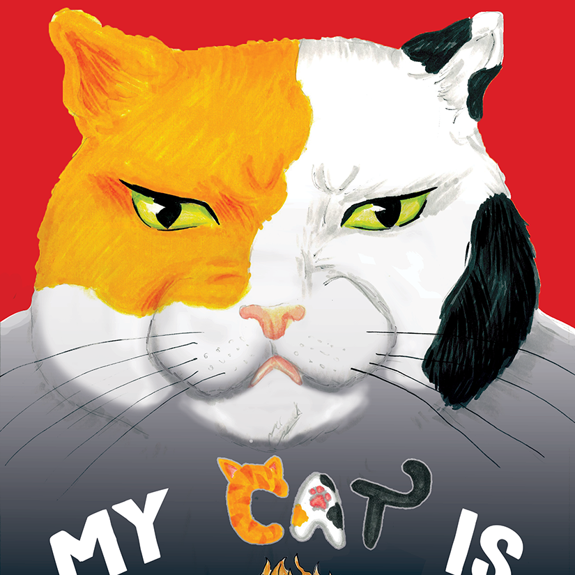 Cat boss cover SQSP.png