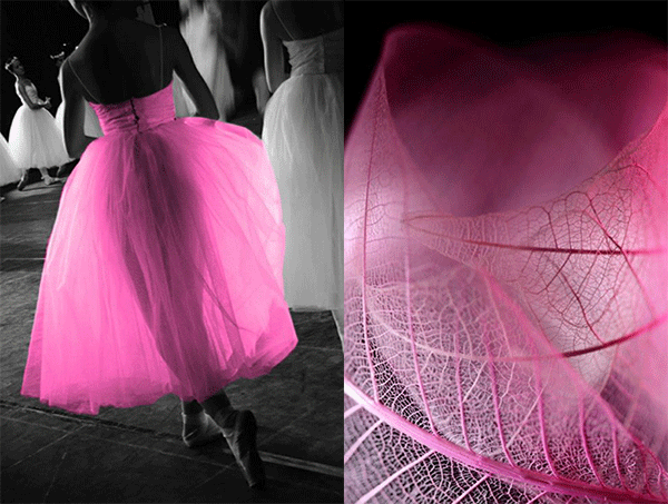  Founder/Designer, Jean Criss -- Innovated, designed and sewn in New York City (USA)!