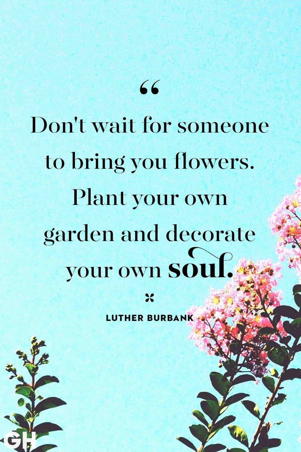 'Don't wait for someone to bring you flowers. Plant your own garden, decorate your soul.'
#livelife #soul #inspiration #mind-body-spirit #wellness #CrisscrossIntimates #springtime #flowers #garden #DIY #fulfillment #recovery #survivor #breastcanceraw