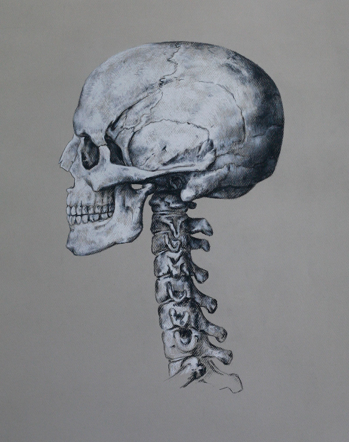 Mind and Specimen (Study no. 1)