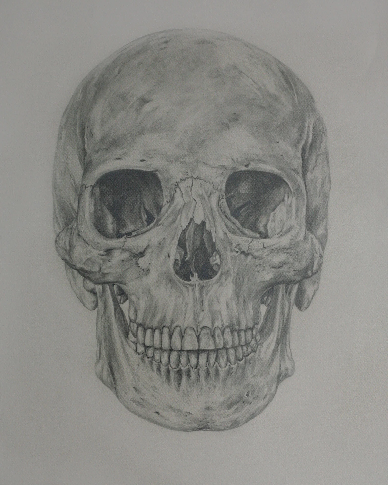 Mind and Specimen (Study no. 11)