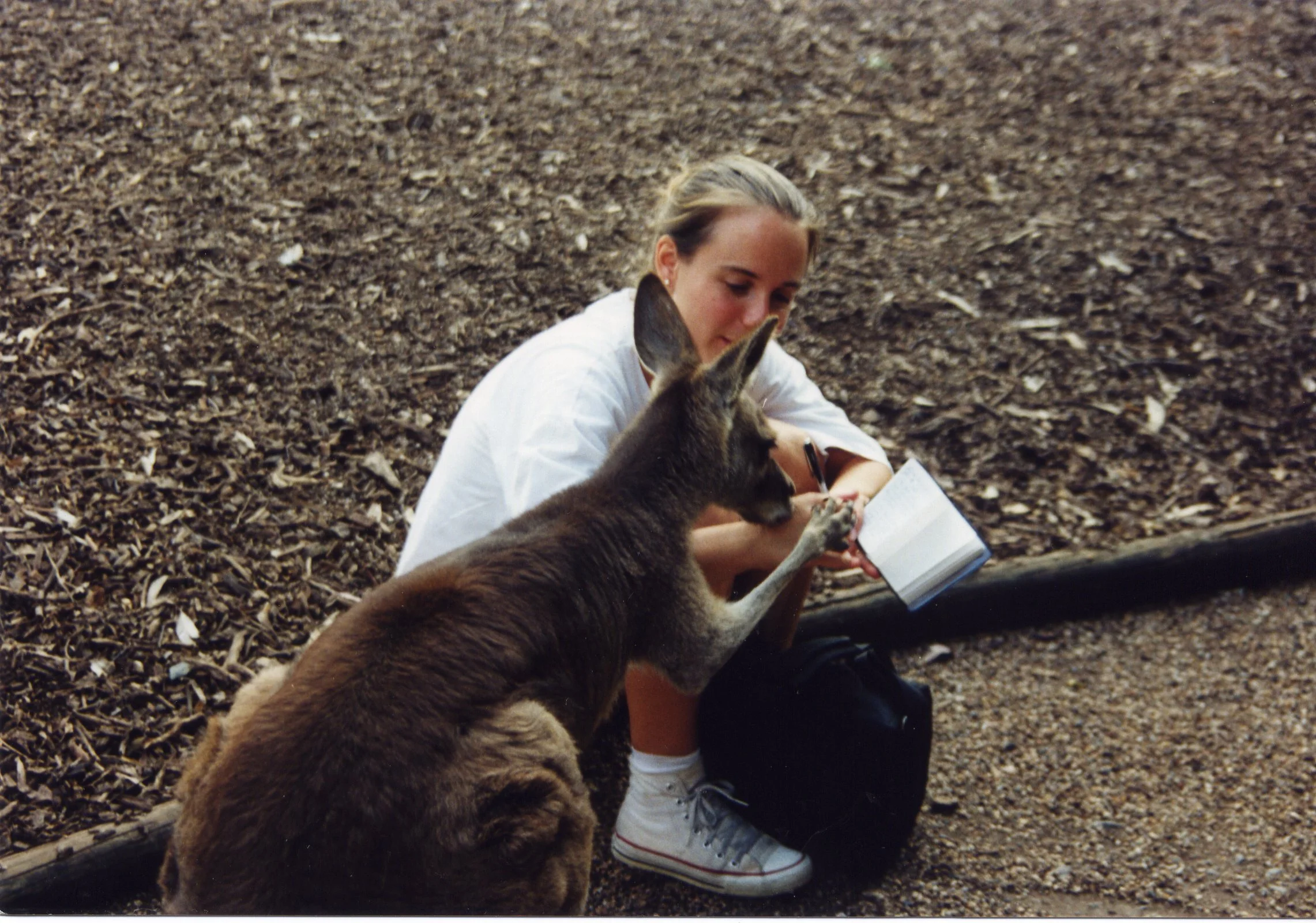 Monika Petrillo writing Flyabout.jpg