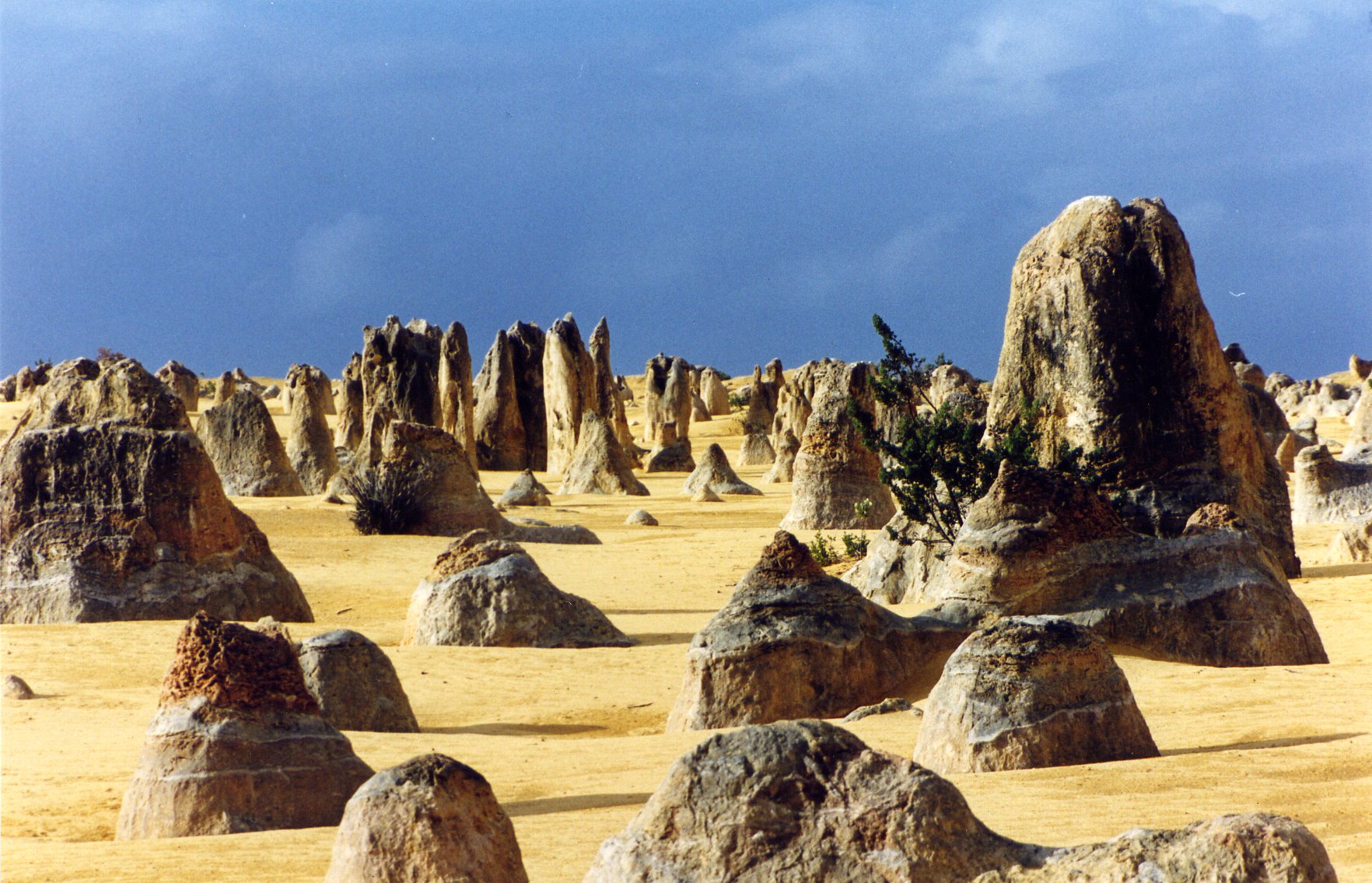 Pinnacles.jpg