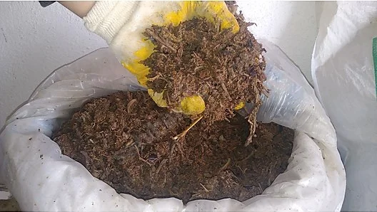 Meyve Posası Atığı / Fruit Pulp Waste