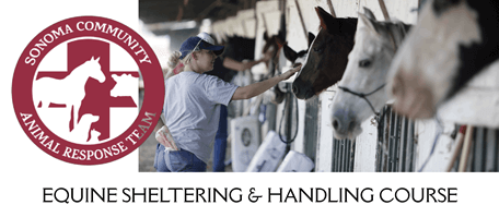 Equine Sheltering &amp; Handling Course