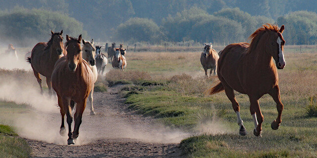 5xP8185054 copy(1).jpeg