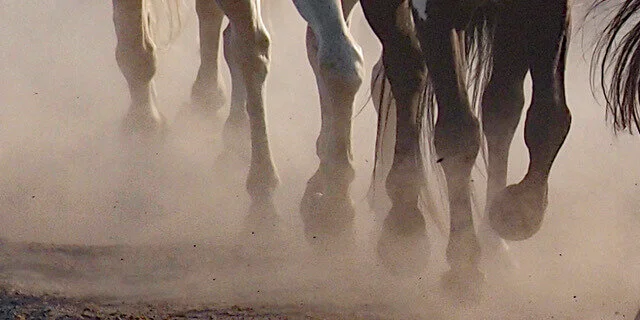 5xP8185071 copy(1).jpeg