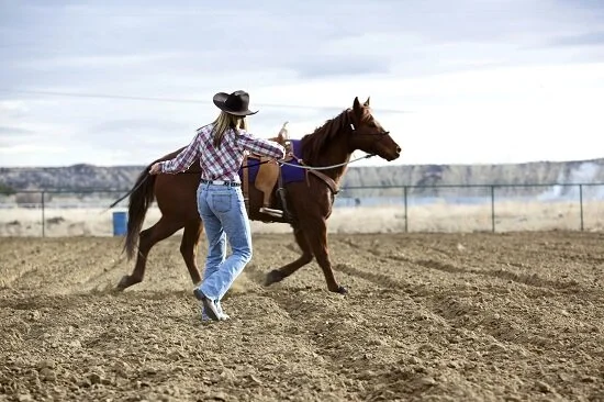 The CARES Act and How Equine Businesses Can Participate