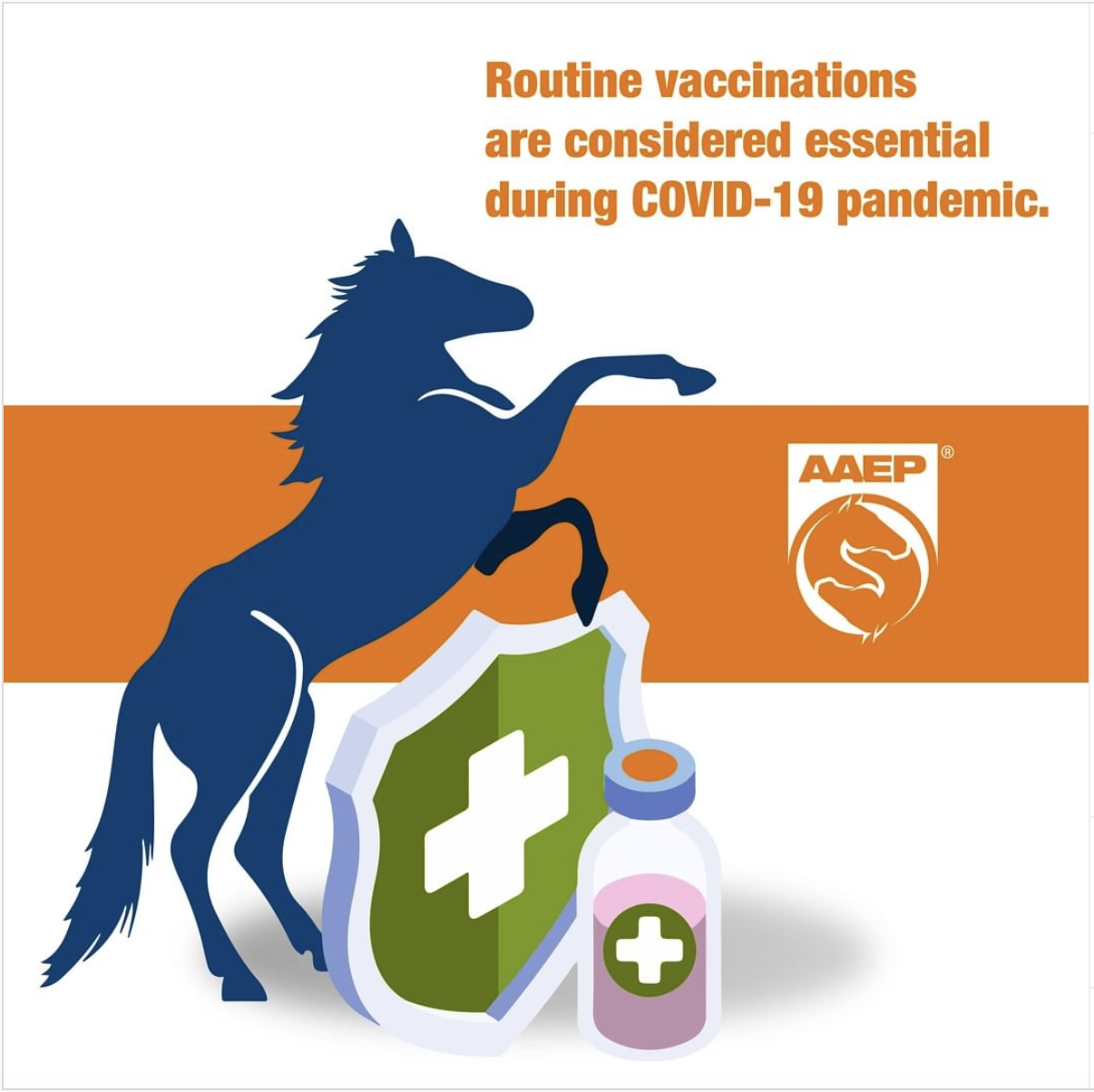 Routine Vaccinations are Considered Essential During this COVID-19 Pandemic