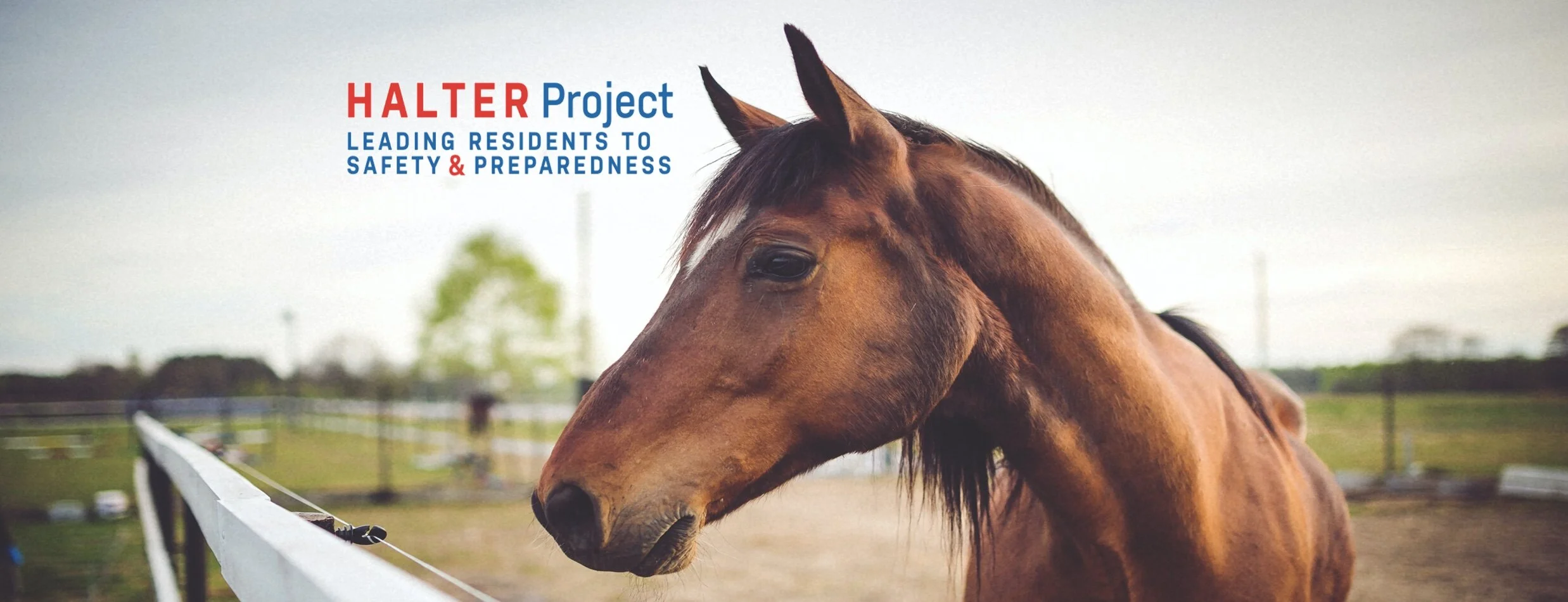 Halter Project COVID-19 Resources