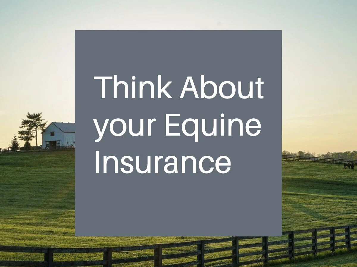 Herd Helpers Guidance — Sonoma County Horse Council