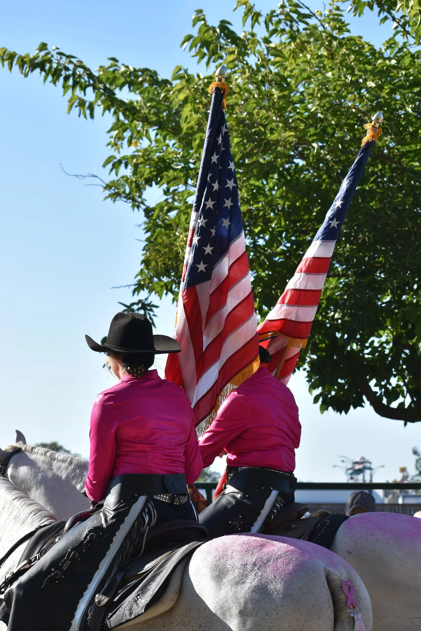 FlagsBackstage2.jpg