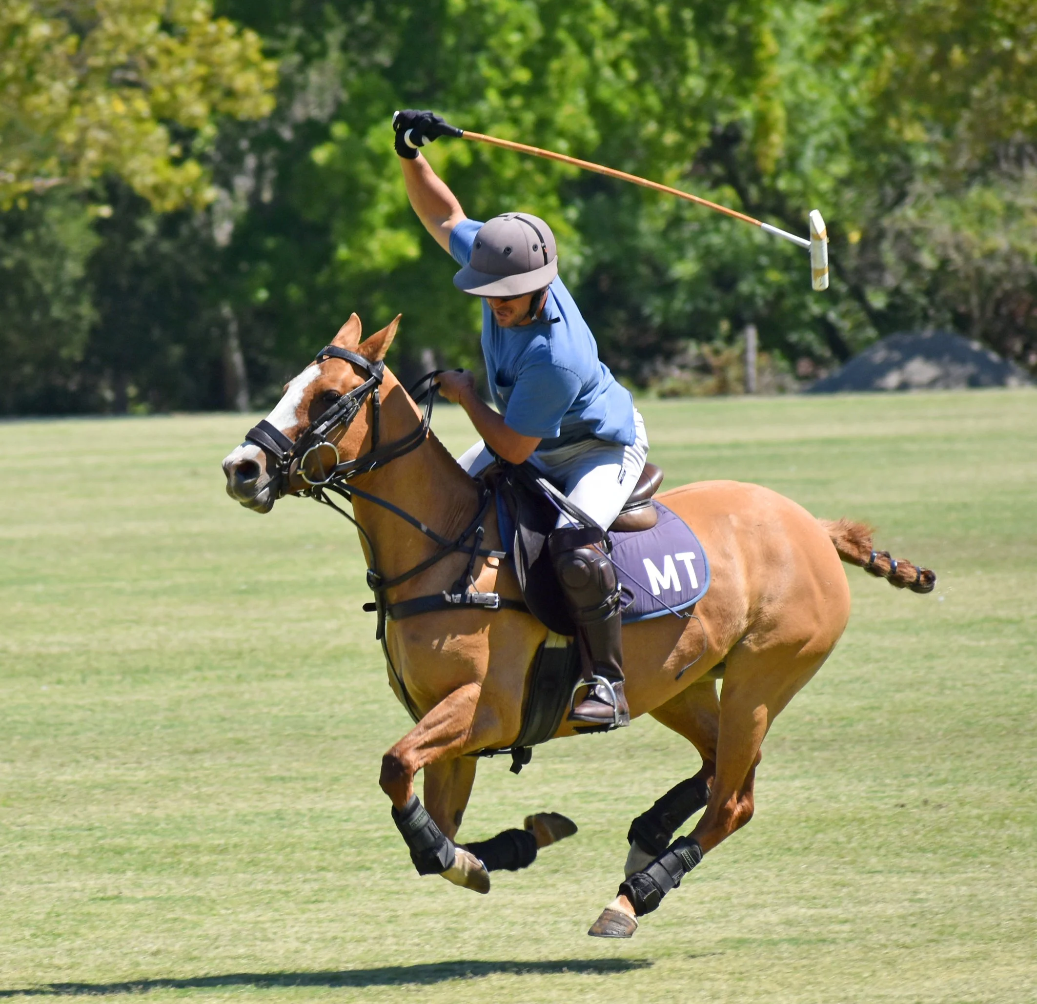 2025schcPolo6.jpg