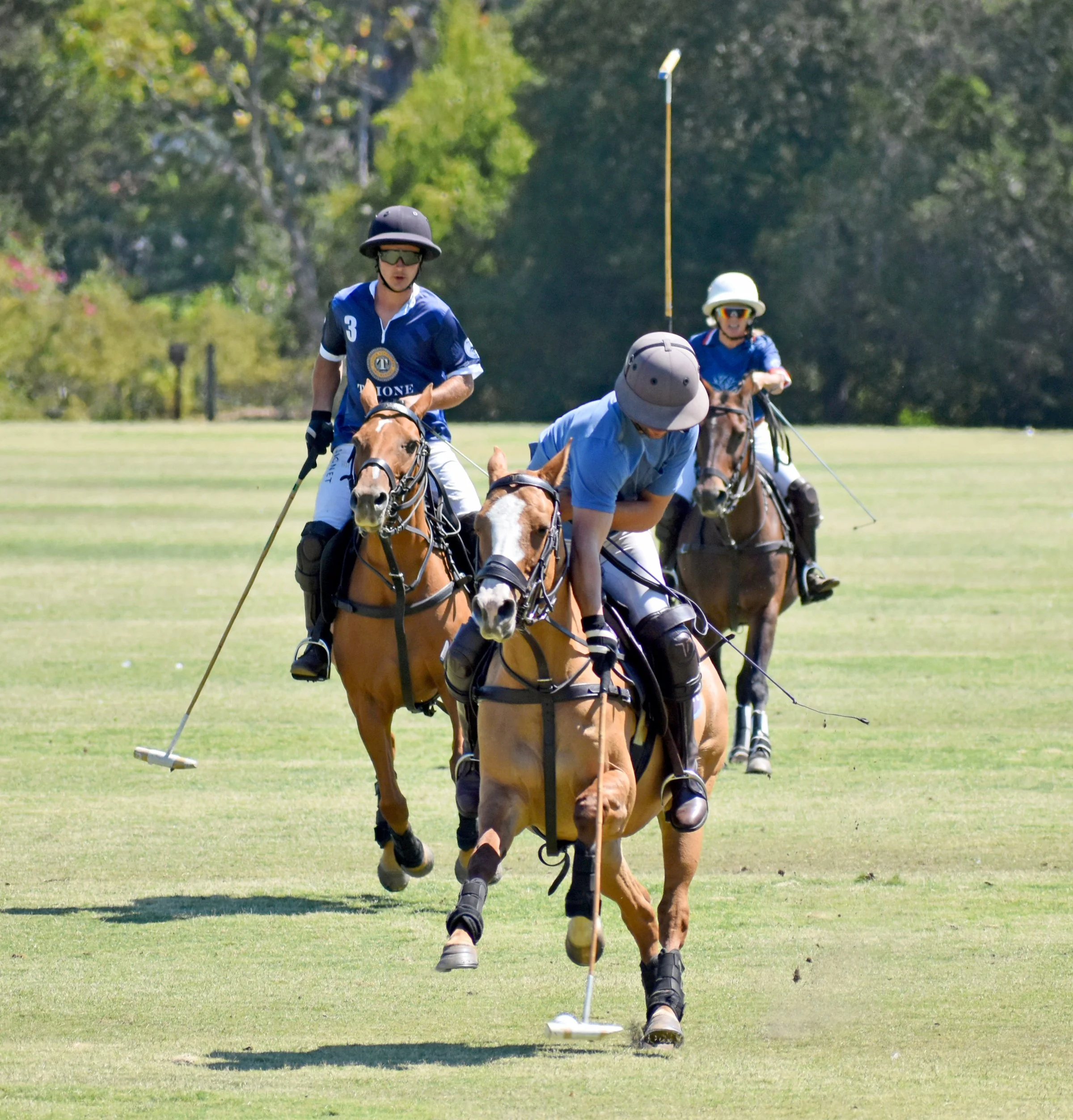 2025schcPolo7.jpg