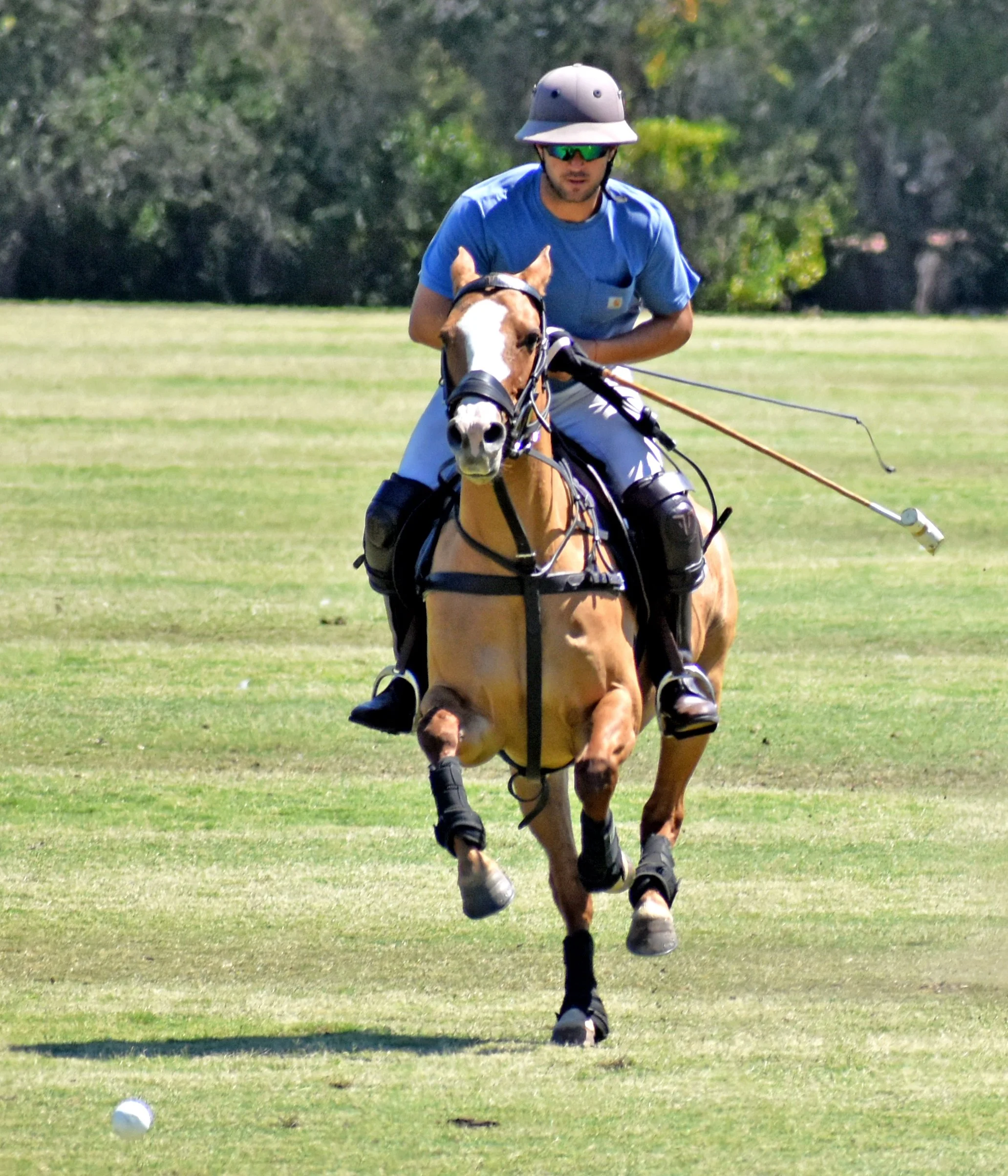 2025schcPolo8.jpg