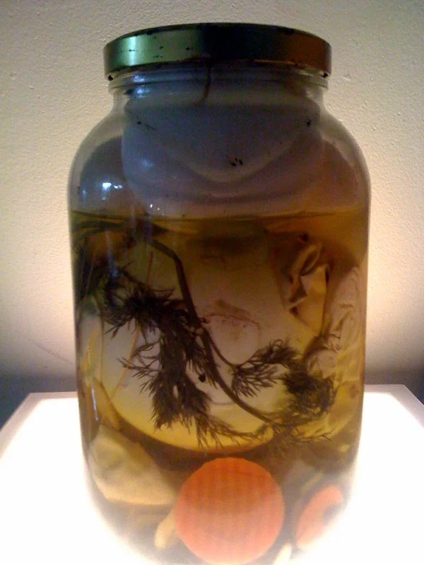 pickled balloons.jpg