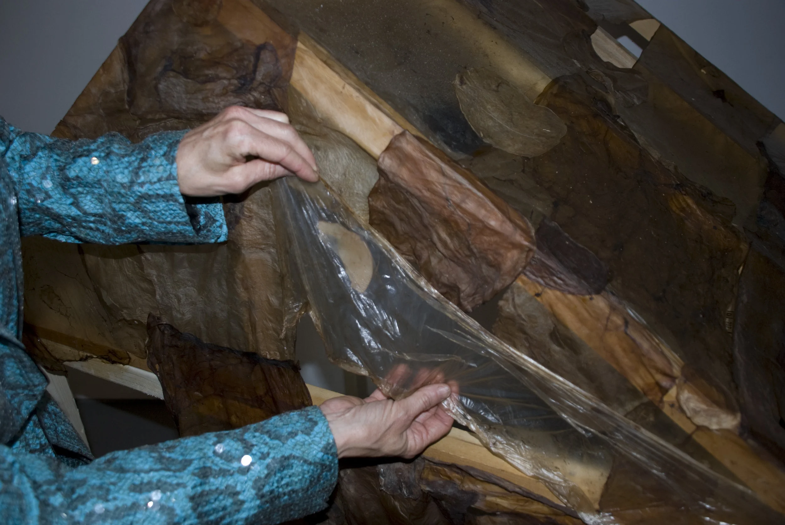 Cover the to scale monopoly house with nurtured Biofilms from kombucha scobies around the world.