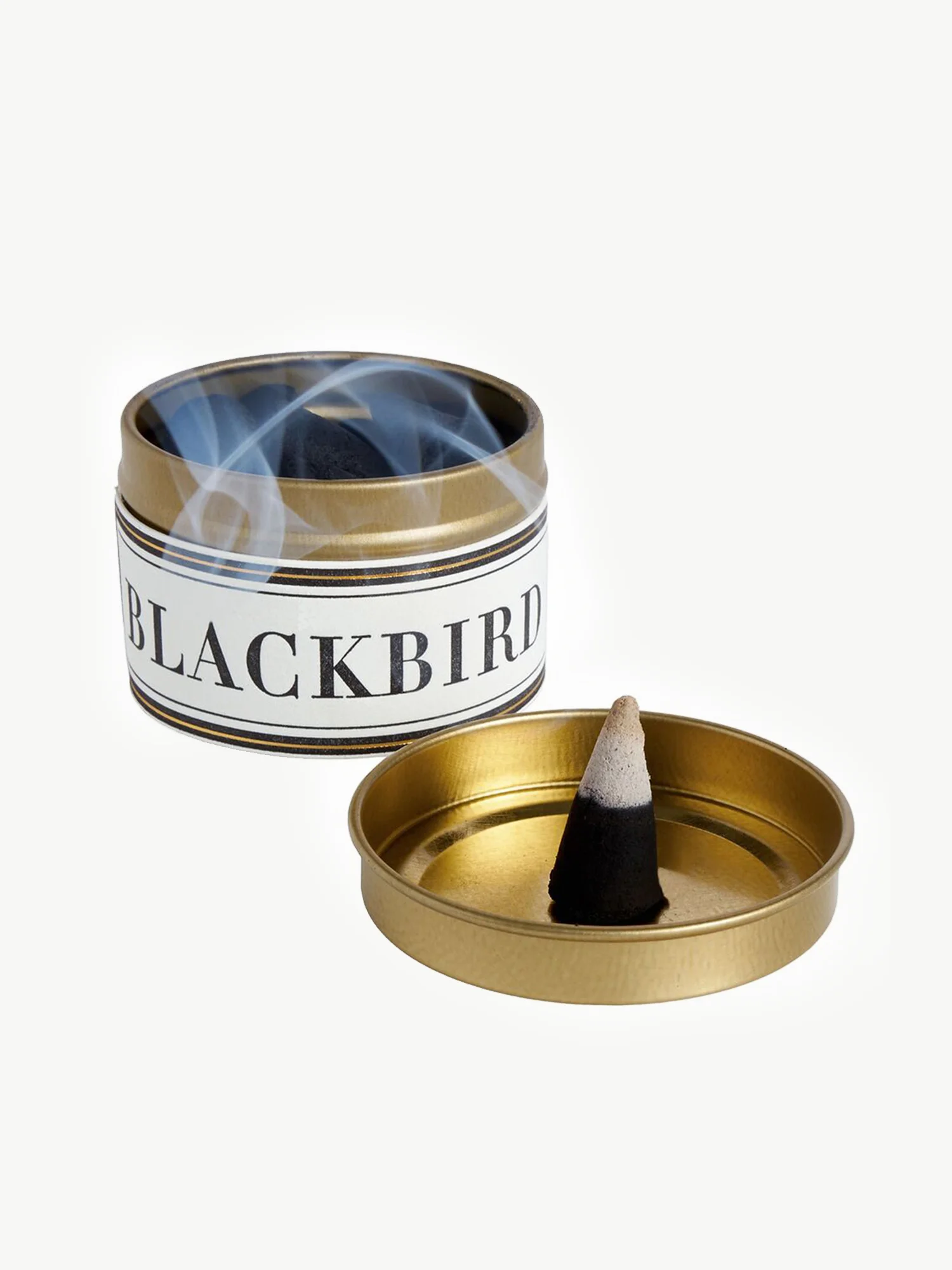 Blackbird_8.jpg