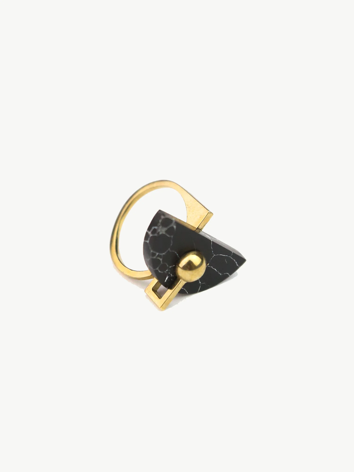 Metalepsis blk ring.jpg