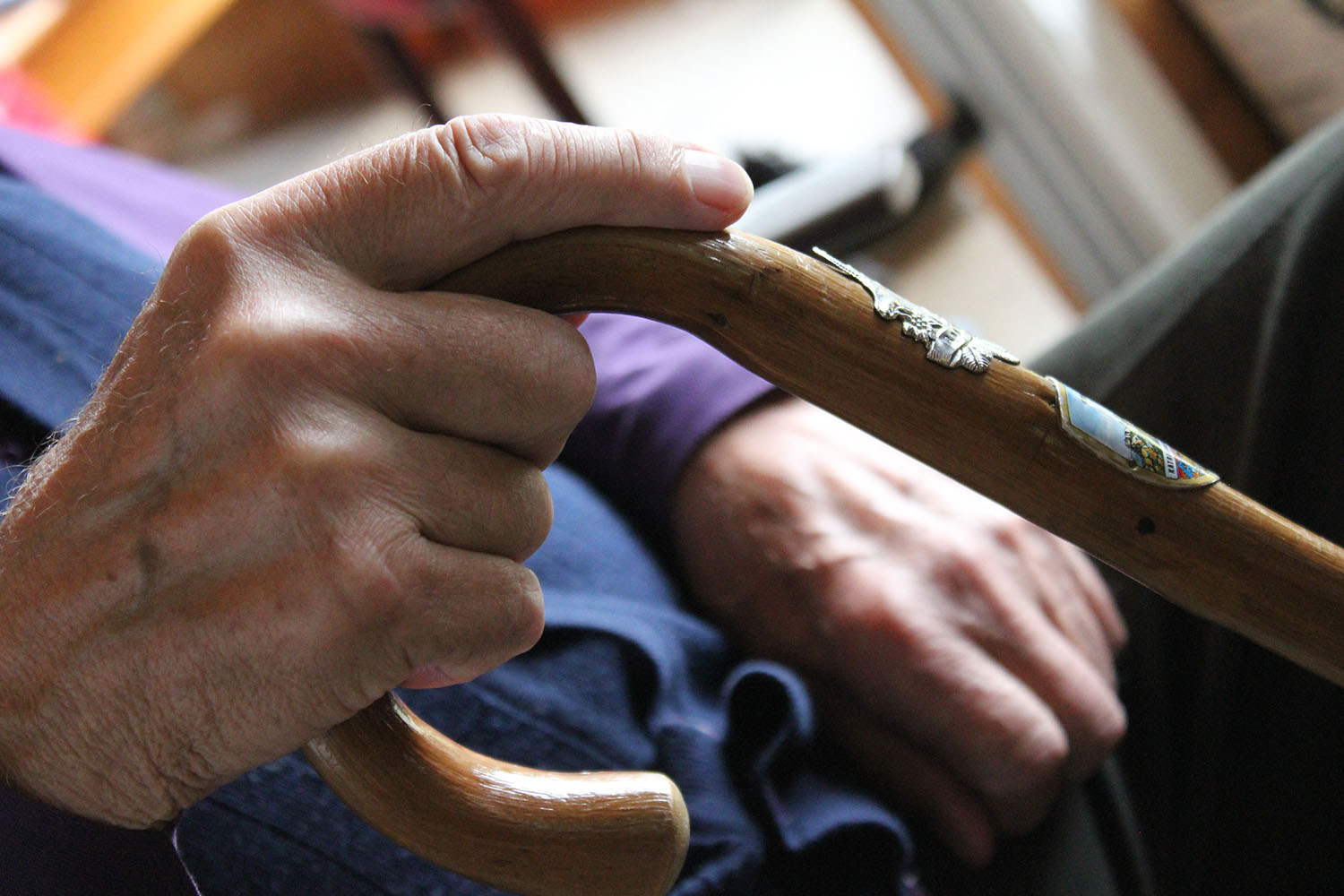 A photo of my Opa's hands with his cane.