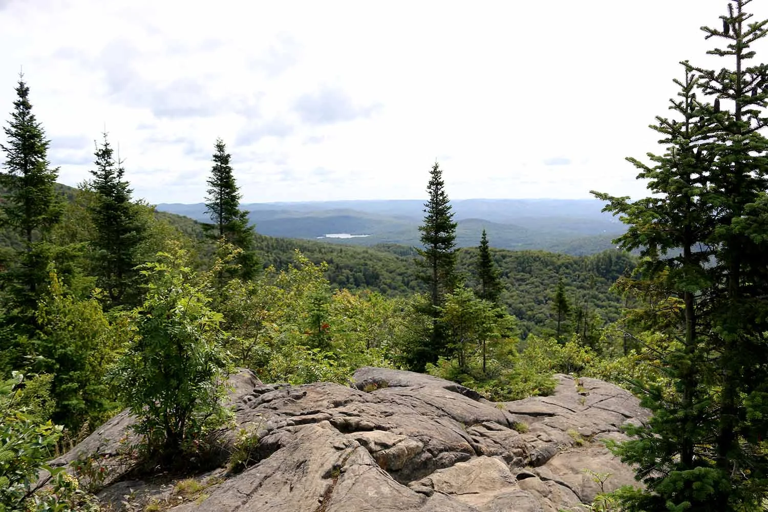 Mountain Top