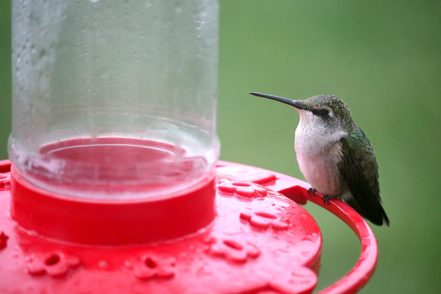 Humming Along