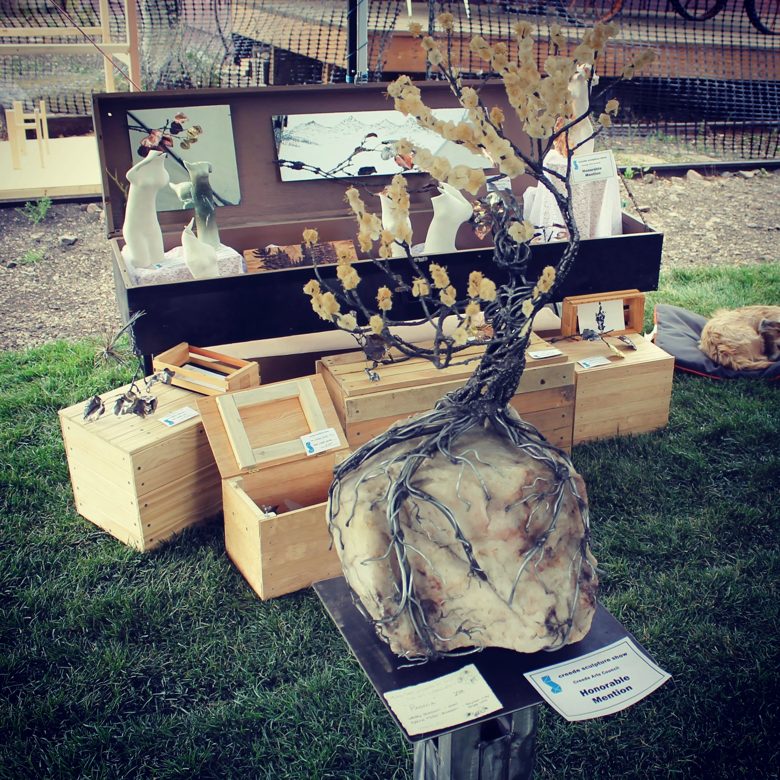 The reveal of Paonia in Creede