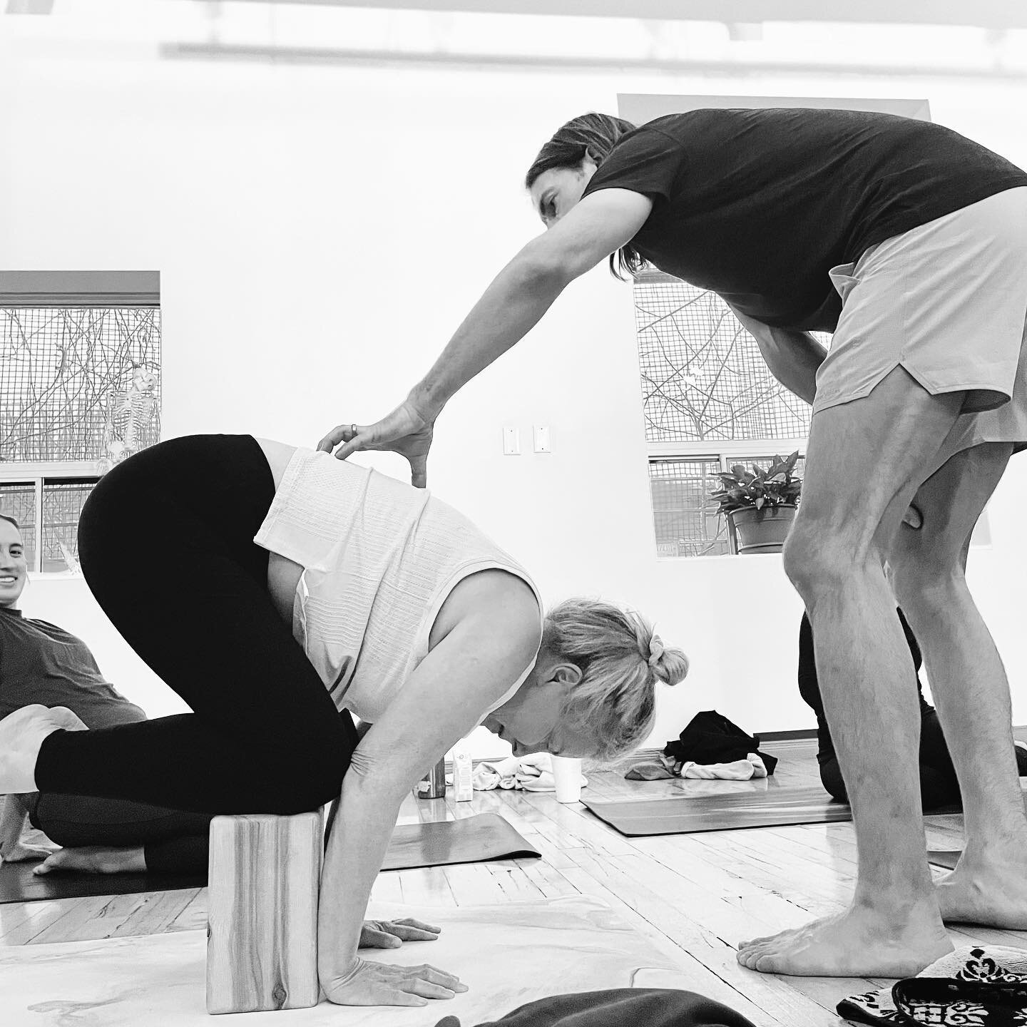 Using blocks as elbow surrogates to get used to the feeling of balance&hellip;then lean lean lean forward. That&rsquo;s the way into crow. PRECISION + PROGRESS. 
#bakasana #hathayoga #armbalance #yogaworkshop #crow #trust