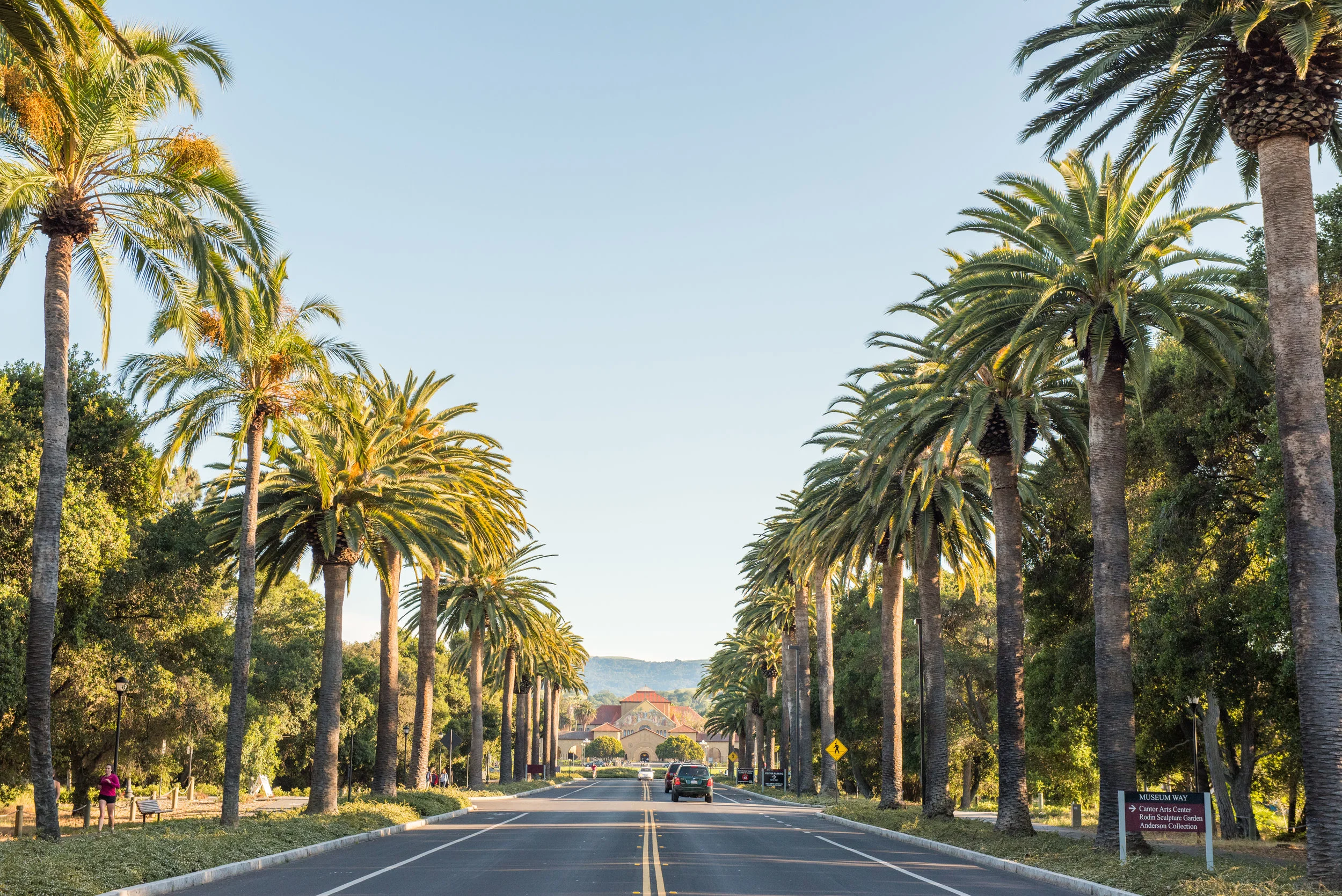 palmdrive-5.jpg