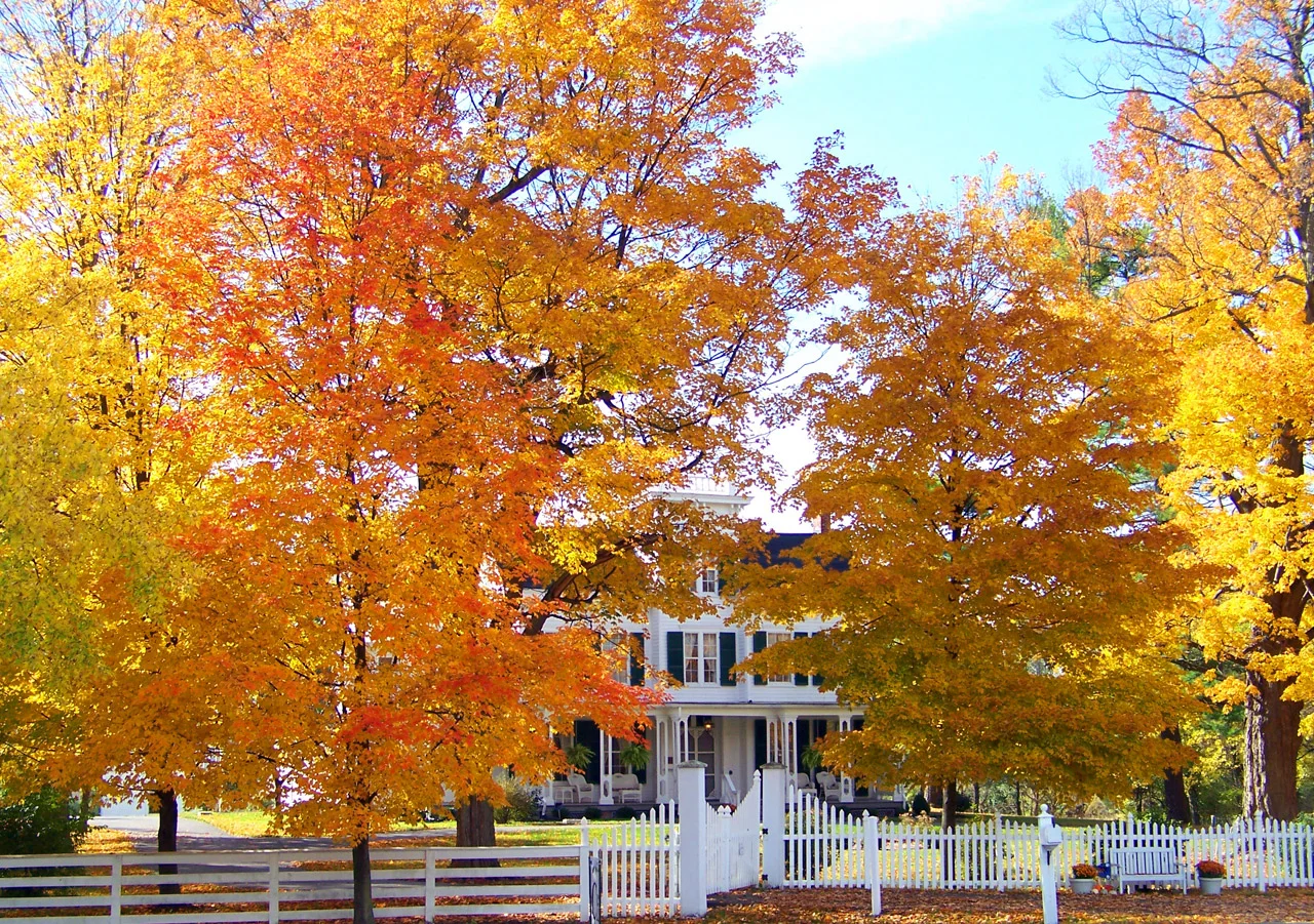 old-house-in-autumn-trees-1302872823s7x.jpg