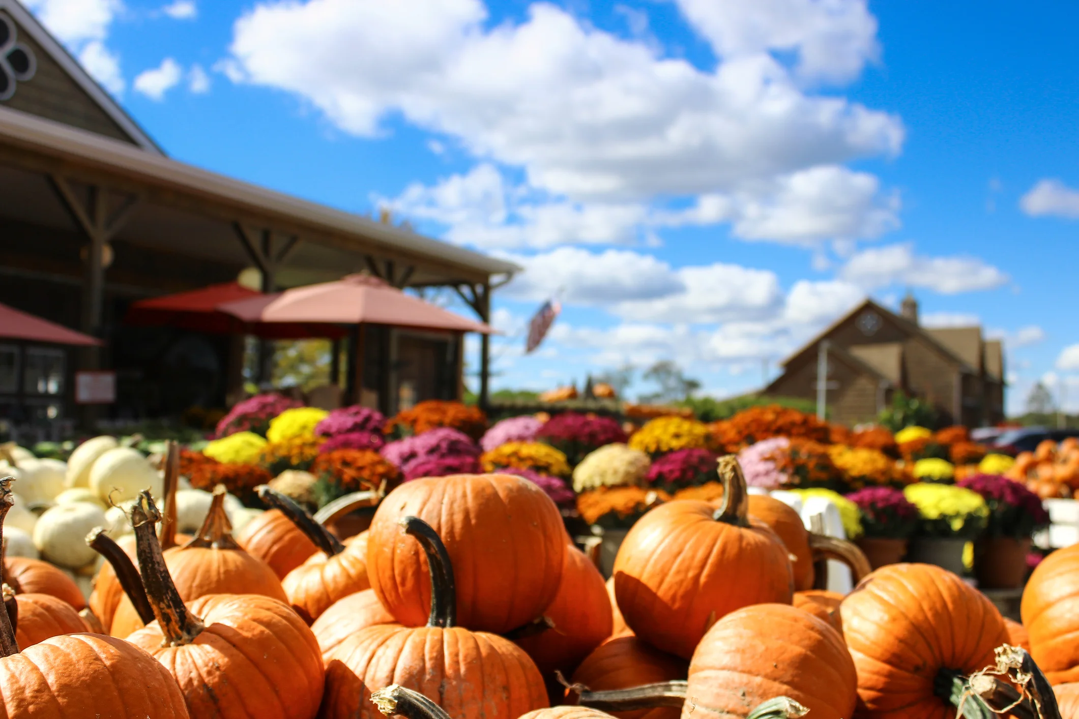 iStock-494471334.jpg