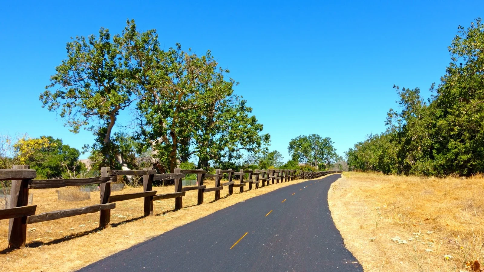 Coyote Creek Parkway .jpg