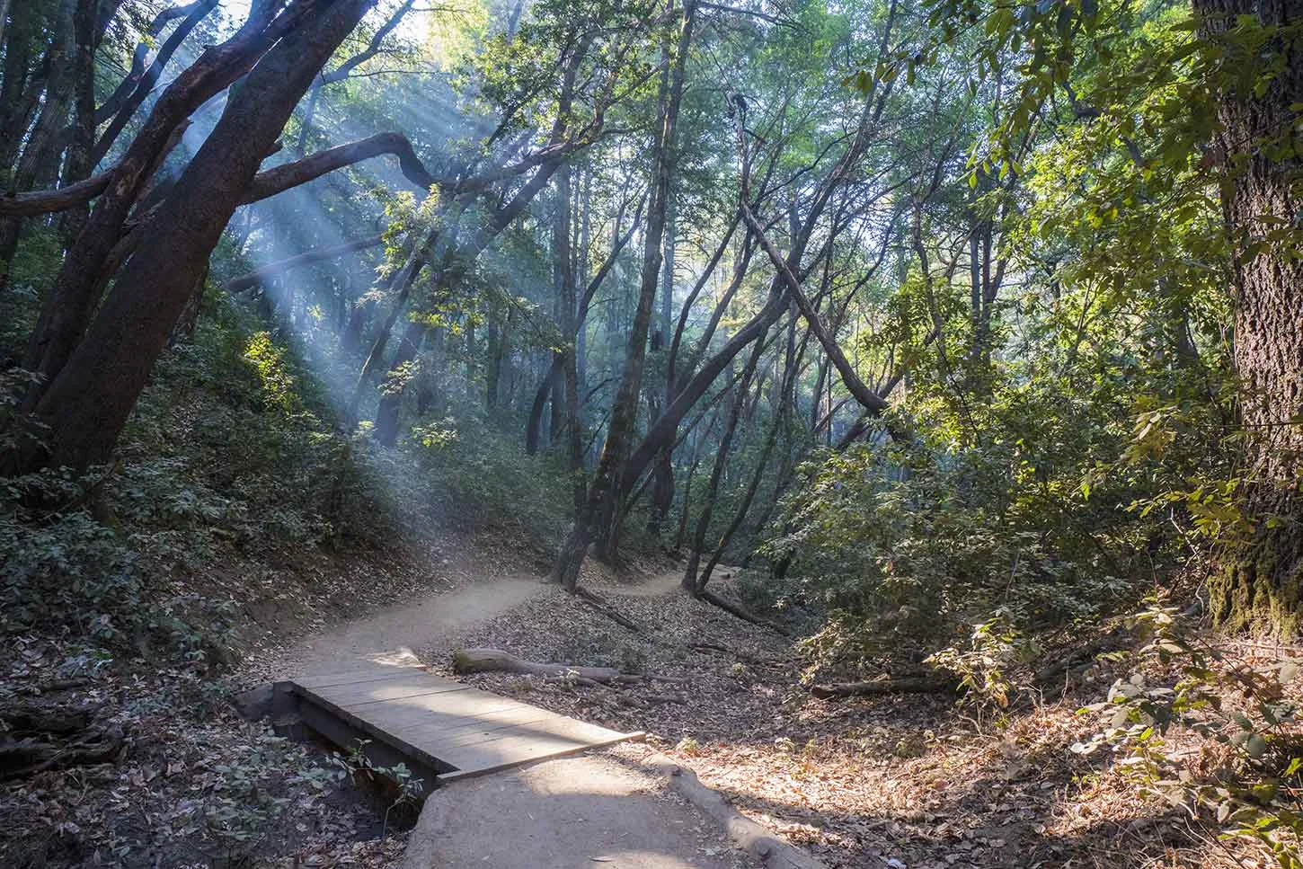 12 Must-Trek Silicon Valley Hiking Trails — Hadar Guibara