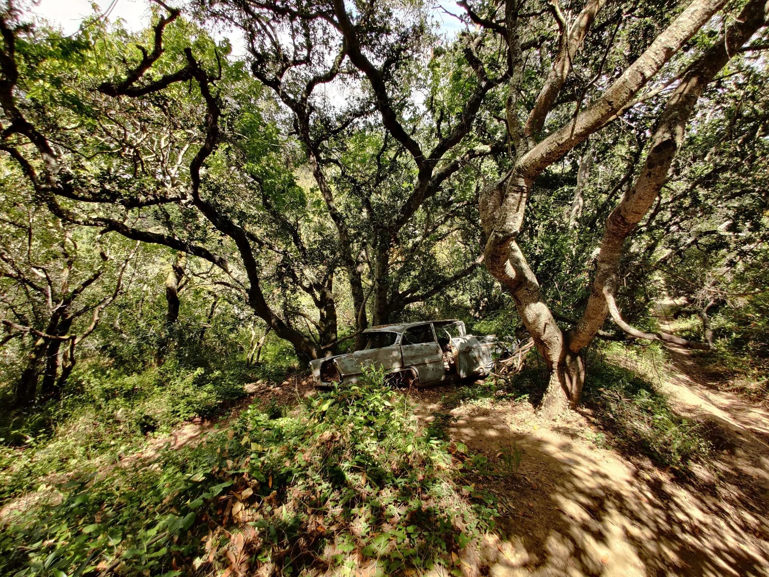 12 MustTrek Silicon Valley Hiking Trails — Hadar Guibara