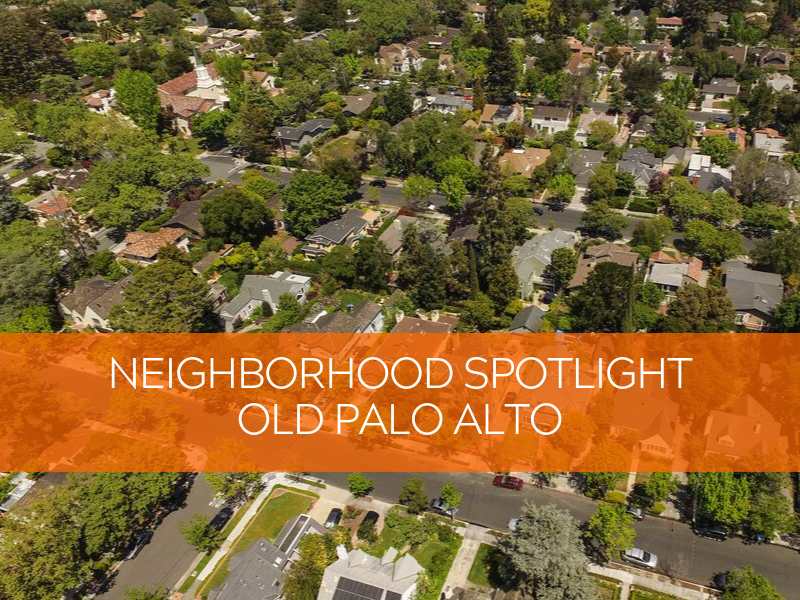 Neighborhood Spotlight Template (2).png