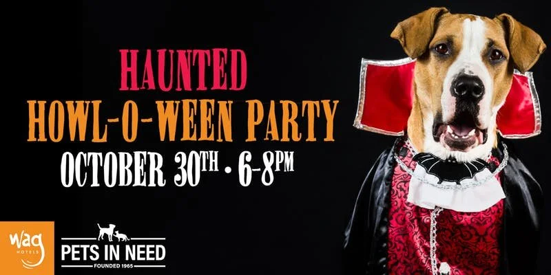 Howloween Party.jpeg
